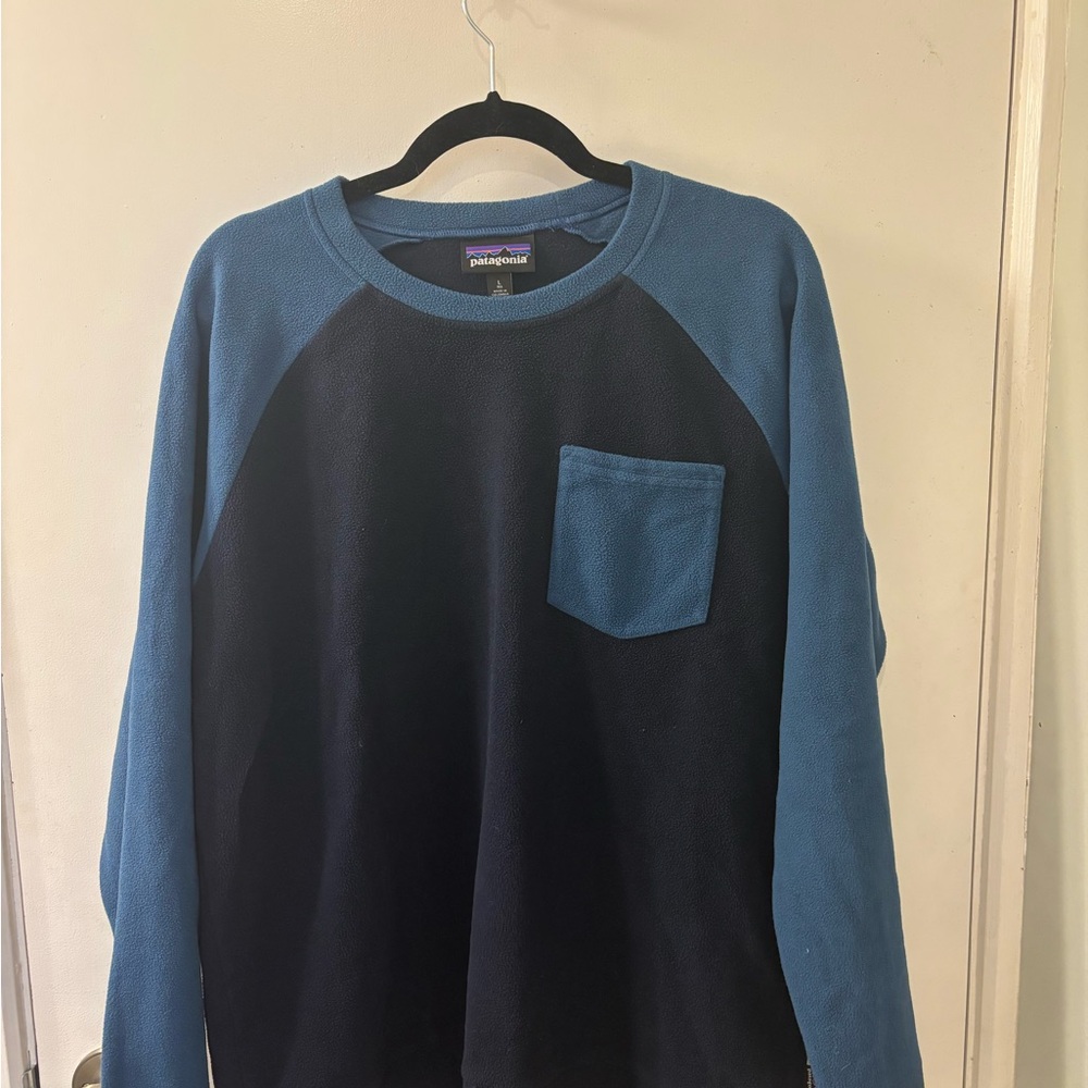 Patagonia M’s Micro D Crew